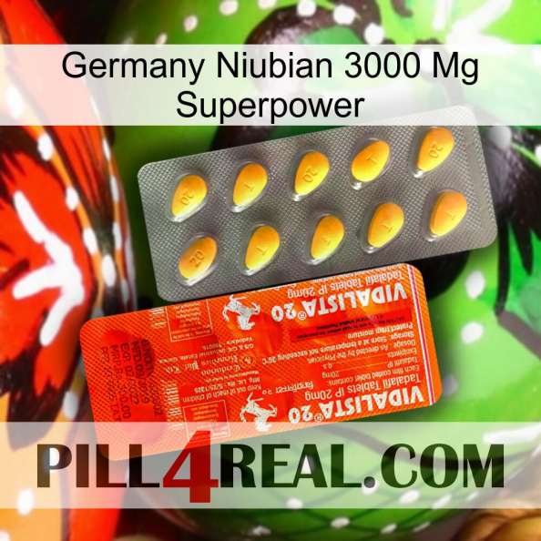 Germany Niubian 3000 Mg Superpower new01.jpg